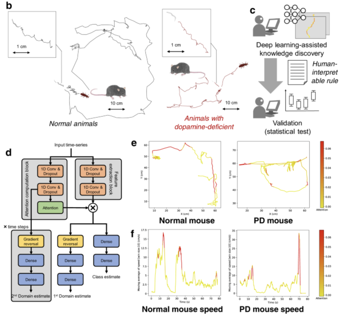 Figure for Cross-species Behavior Analysis with Attention-based Domain-adversarial Deep Neural Networks